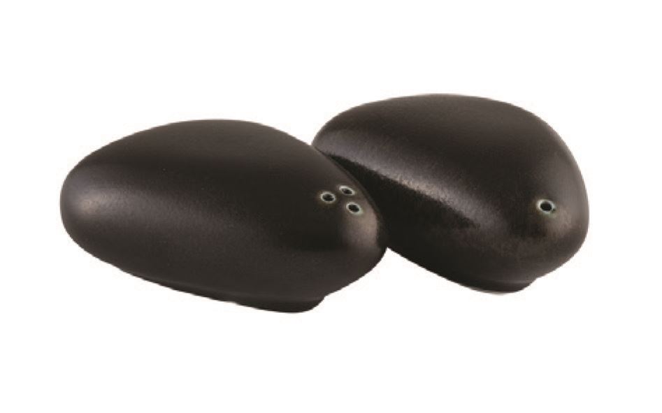 Salt & Pepper Shaker